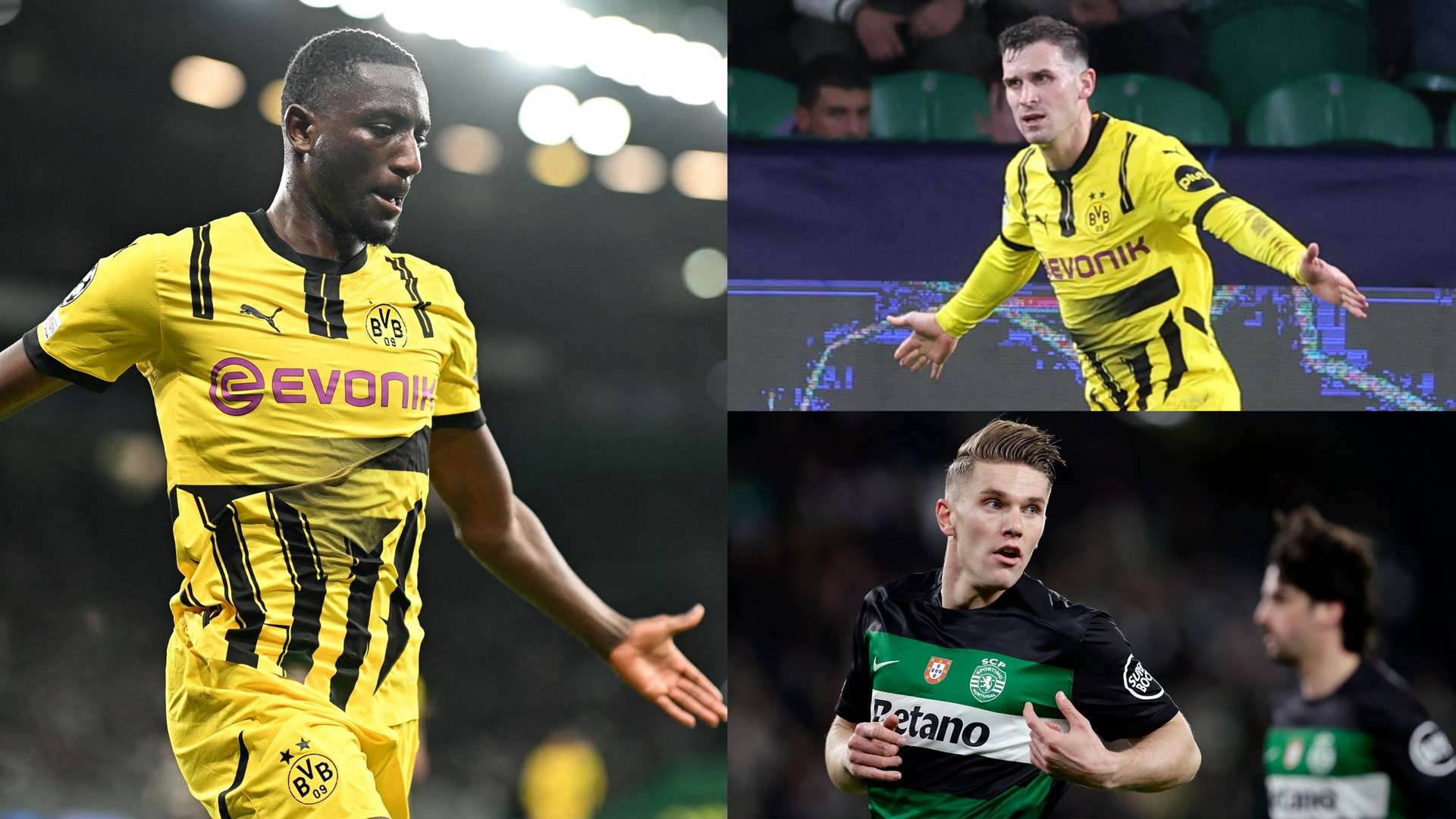 一个重要特 一个重要特