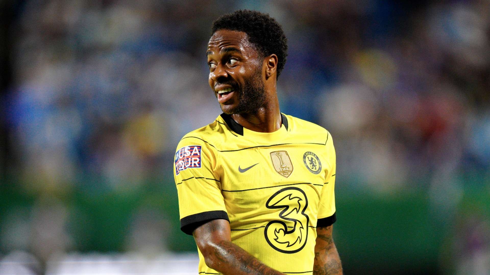 导力与戴维 导力与戴维