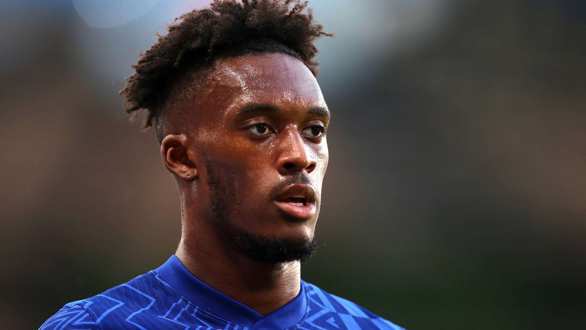 东尼的作用 东尼的作用