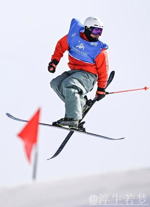 自由式滑雪世锦赛男子大跳台决赛