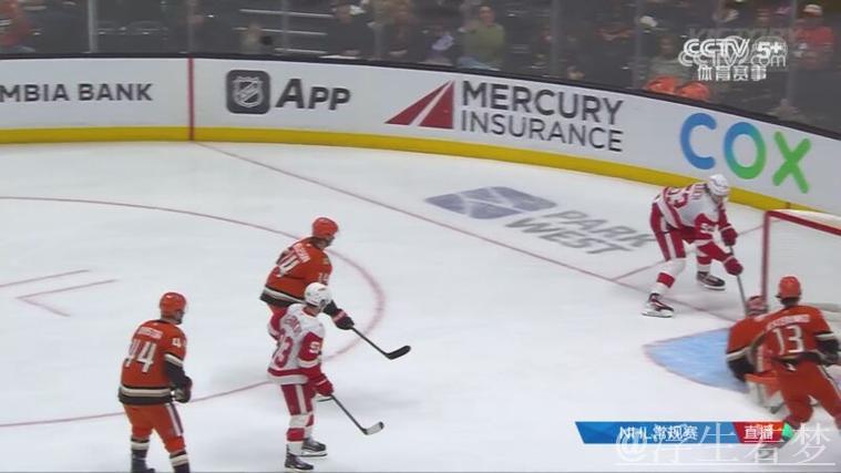 纽约游骑兵对决阿纳海姆小鸭：常规赛较量